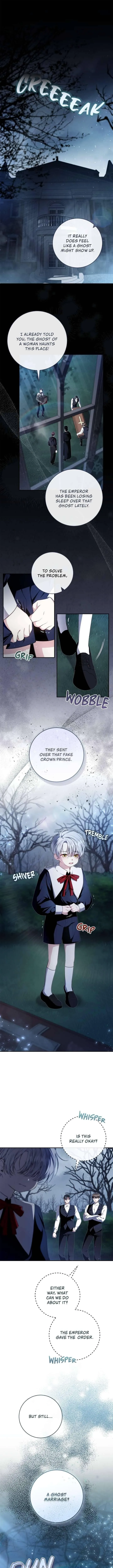 The Abandoned Prince