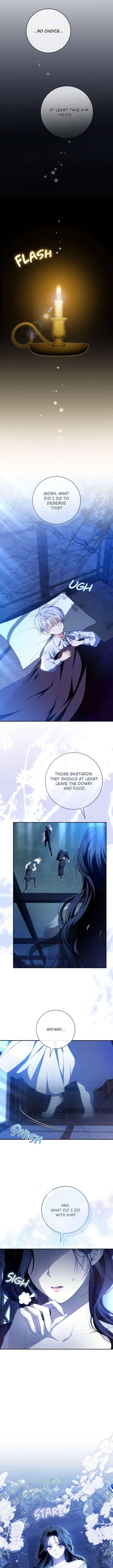 The Abandoned Prince