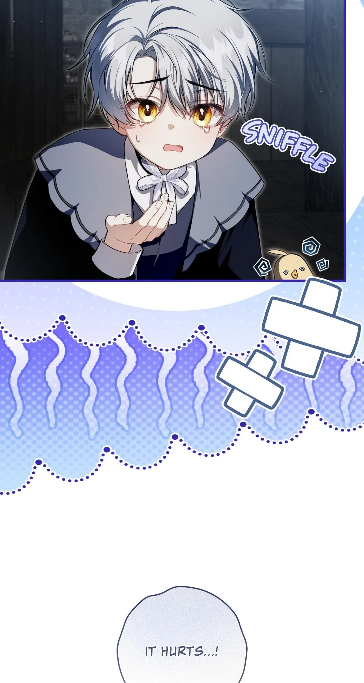 The Abandoned Prince