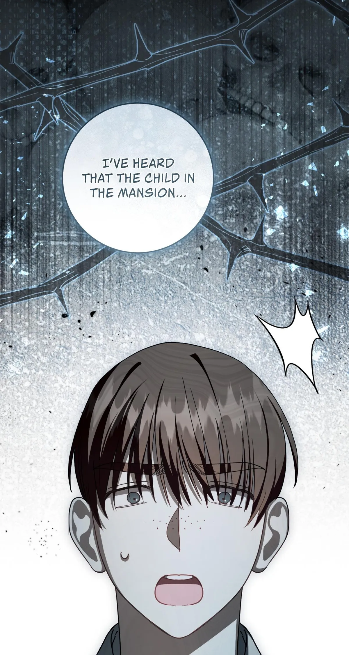 The Abandoned Prince