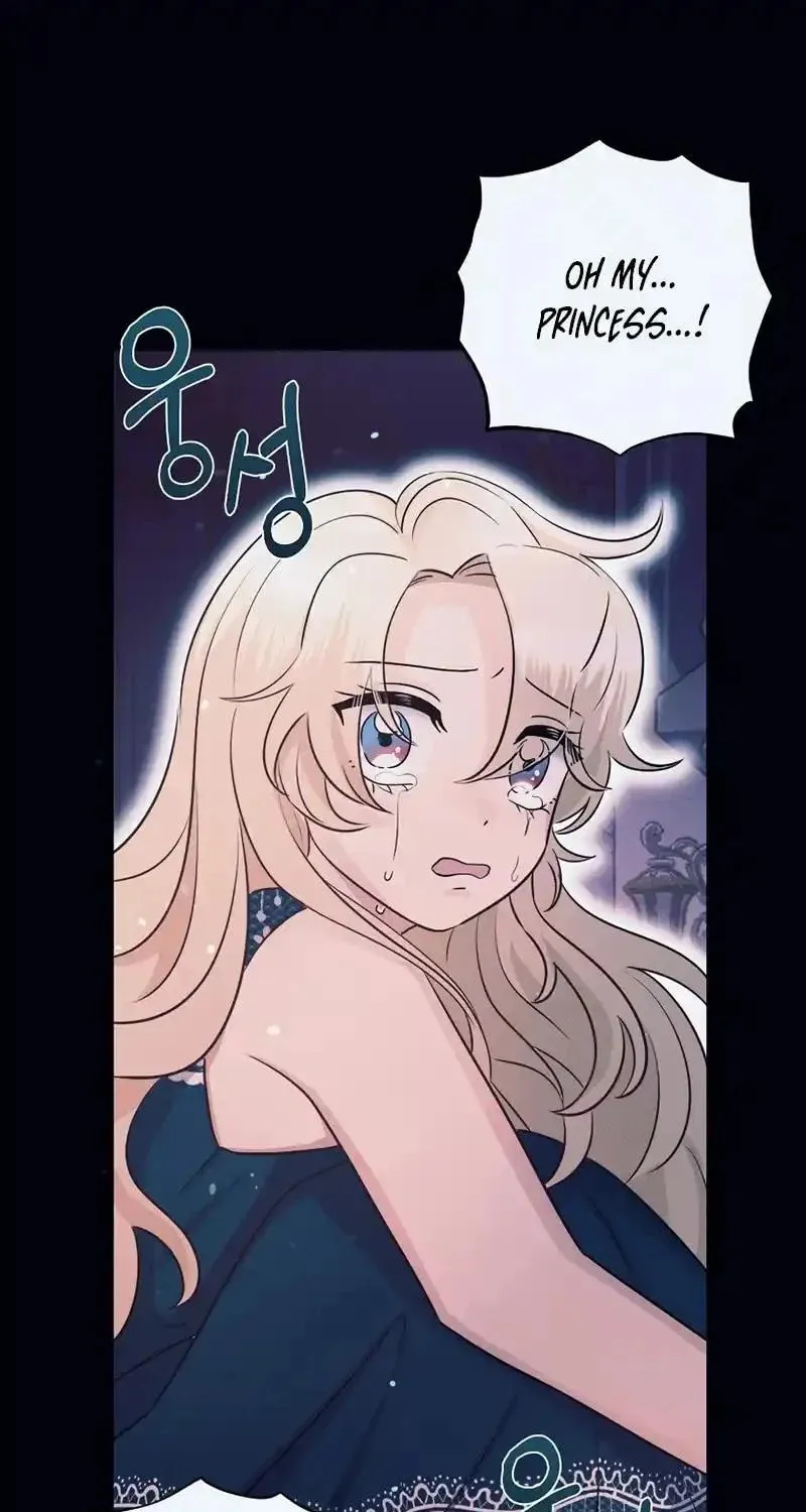 The Abandoned Princess Rebels Chapter 1 page 26 - 