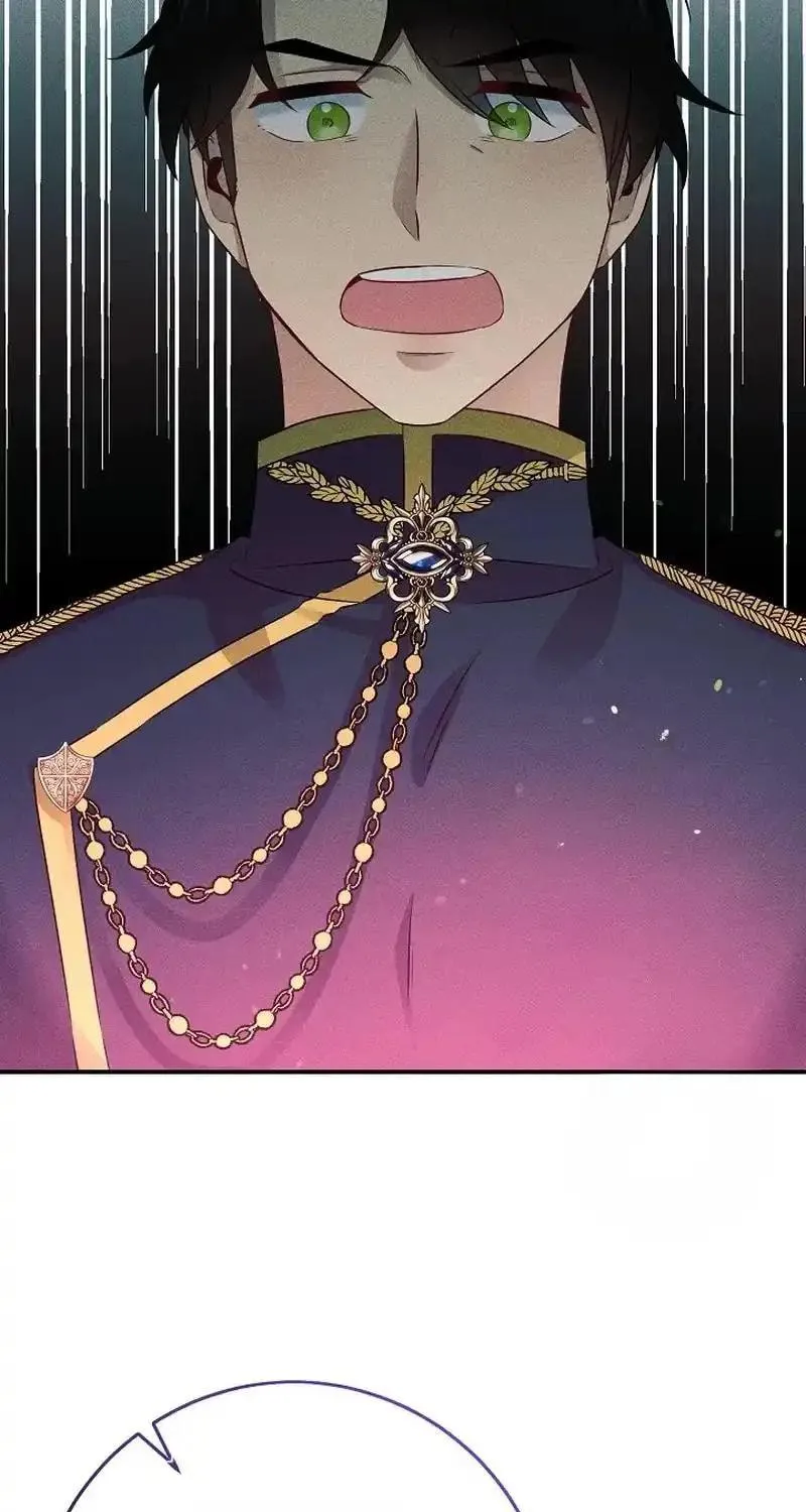 The Abandoned Princess Rebels Chapter 12 page 28 - 