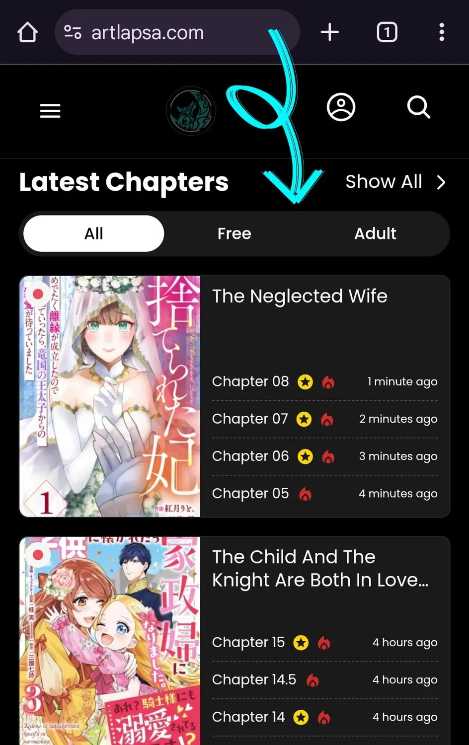 The Abandoned Queen - Luckily, My Divorce was Finalized. Once I Left, I Found the Crown Prince of Dragonia Waiting for Me Chapter 2 page 1 - 