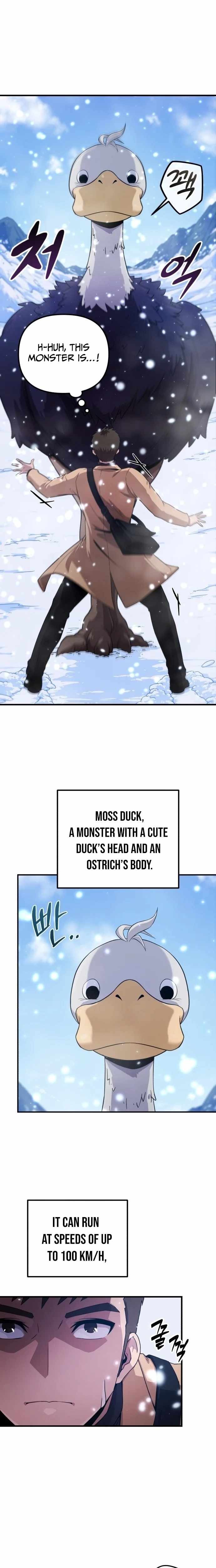 The Absolute