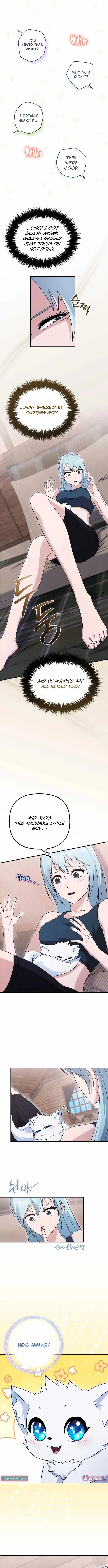 The Absolute
