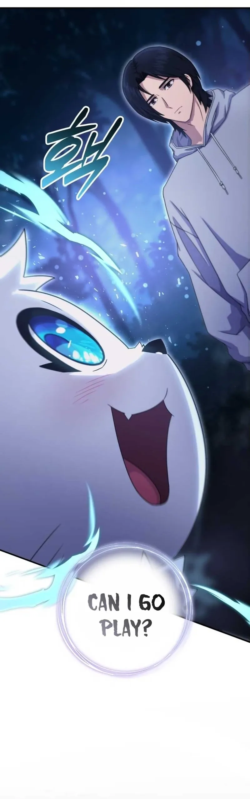 The Absolute
