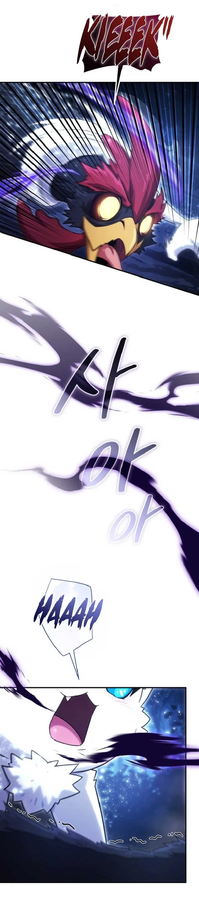 The Absolute