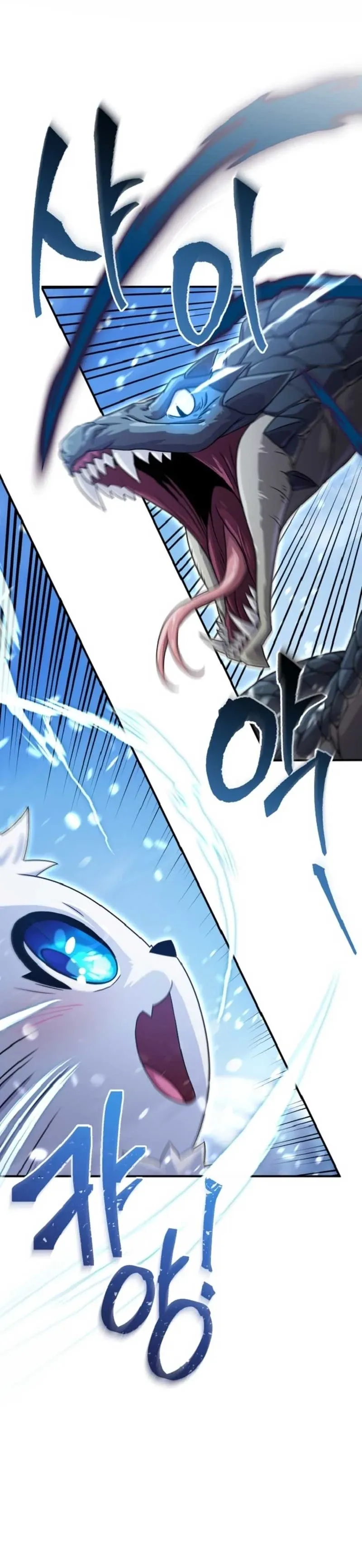 The Absolute