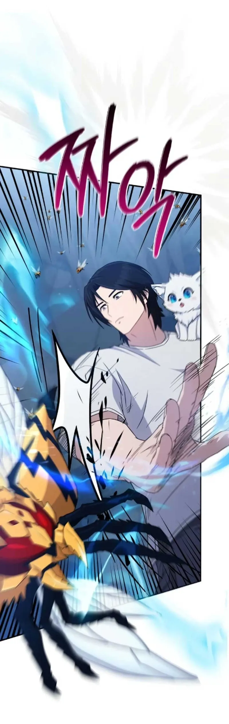 The Absolute