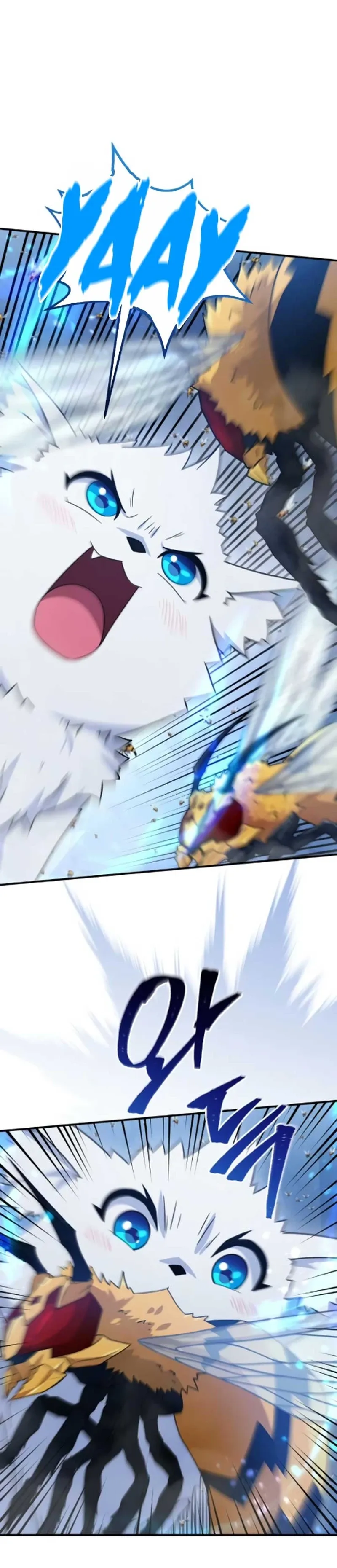 The Absolute