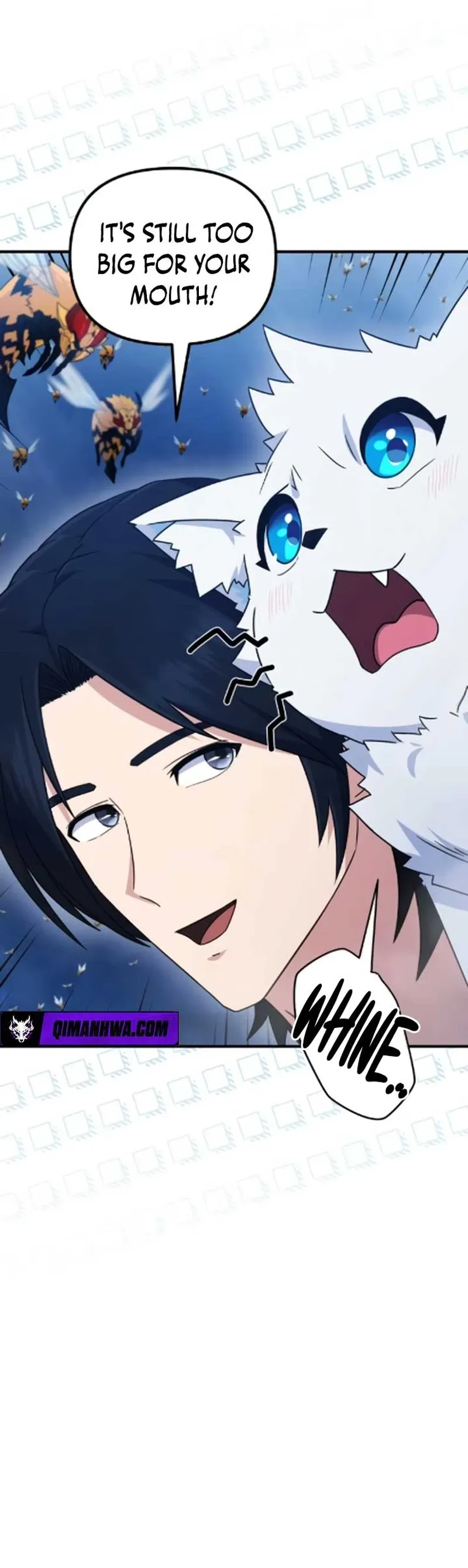 The Absolute