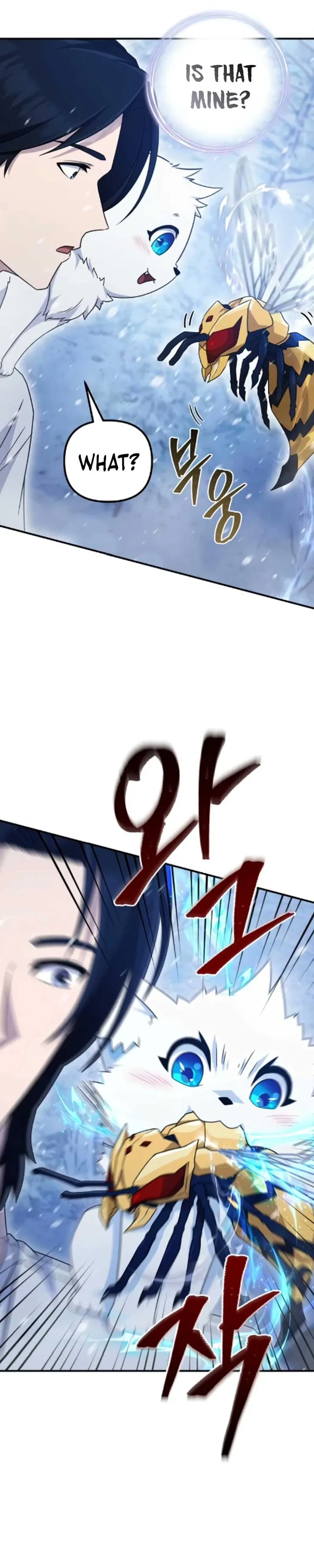 The Absolute