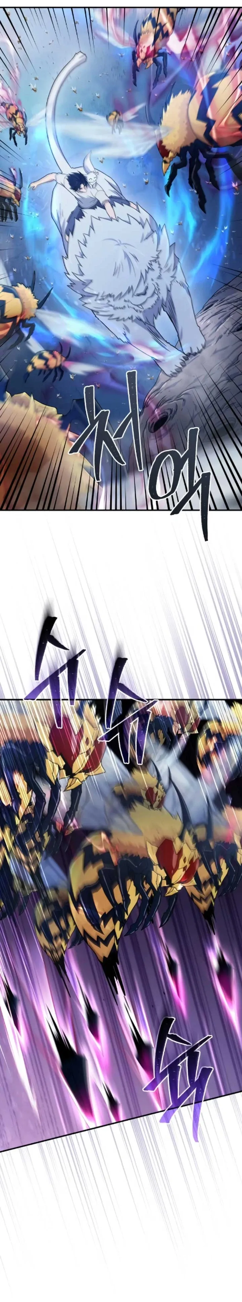 The Absolute