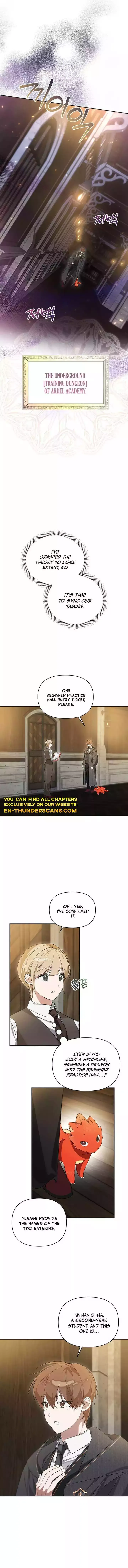 The Academy
