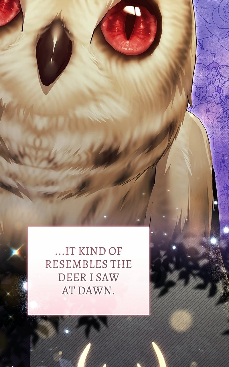 The Acting EmpressStill Spends the First Night Chapter 63 page 19 - 