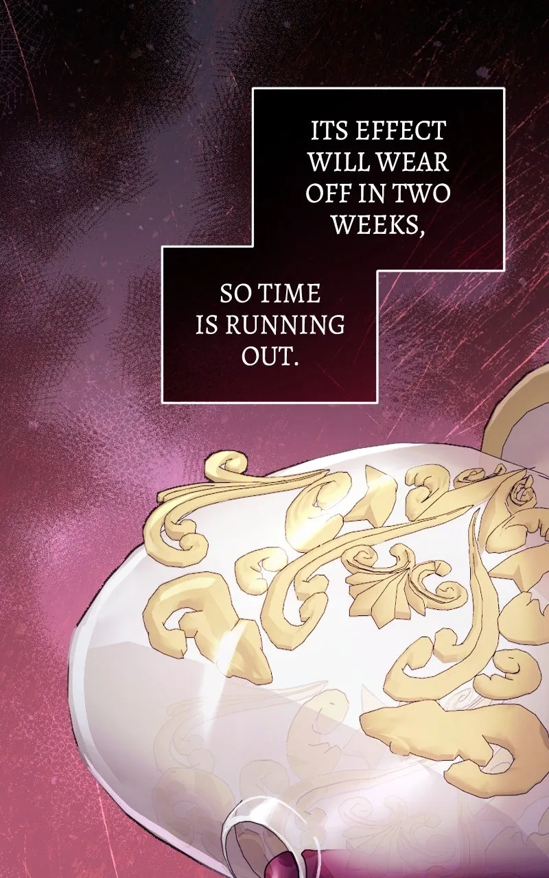 The Acting Empress Still Spends the First Night Chapter 40 page 13 - 