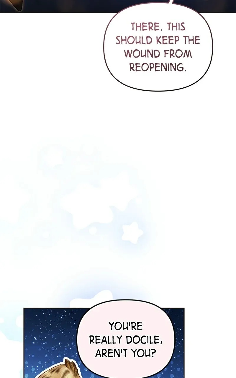 The Acting Empress Still Spends the First Night Chapter 63 page 16 - 