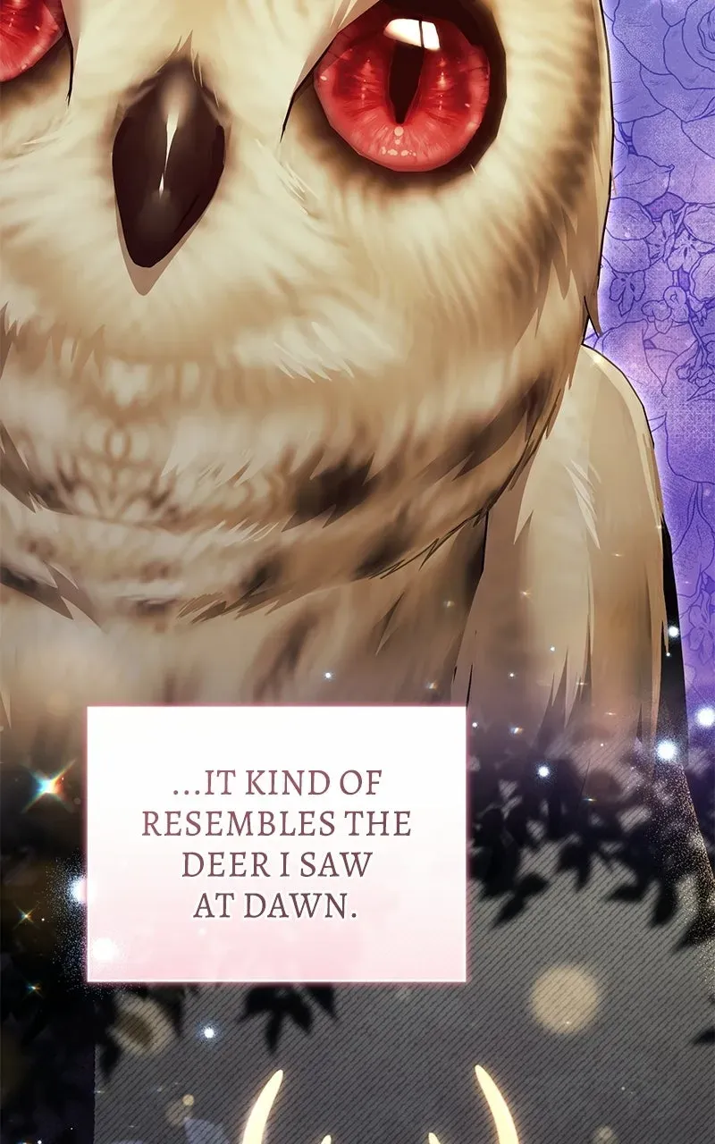 The Acting Empress Still Spends the First Night Chapter 63 page 19 - 