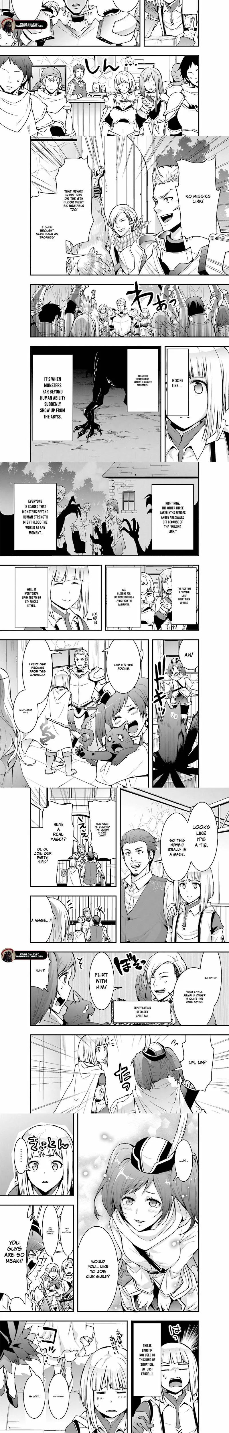 The Adventurer, Care Handling. -The Identity Is the Strongest Magician in Another World Who Governs Invincible Servants- Chapter 3 page 3 - 