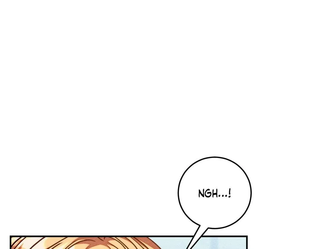 The aesthetics of the game Chapter 10 page 81 - 