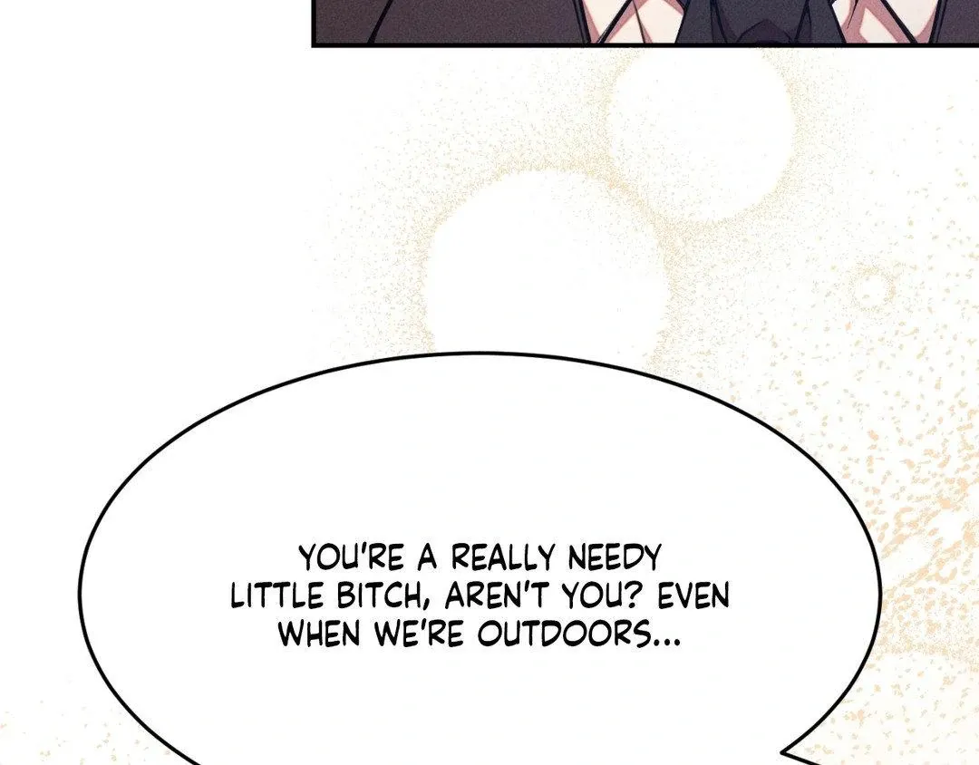 The aesthetics of the game Chapter 11 page 25 - 