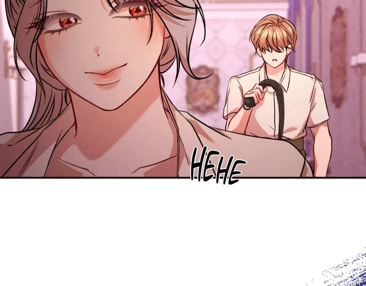 The aesthetics of the game Chapter 15 page 108 - 