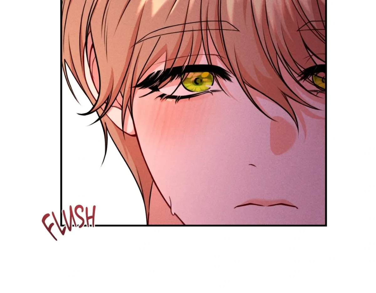The aesthetics of the game Chapter 15 page 87 - 