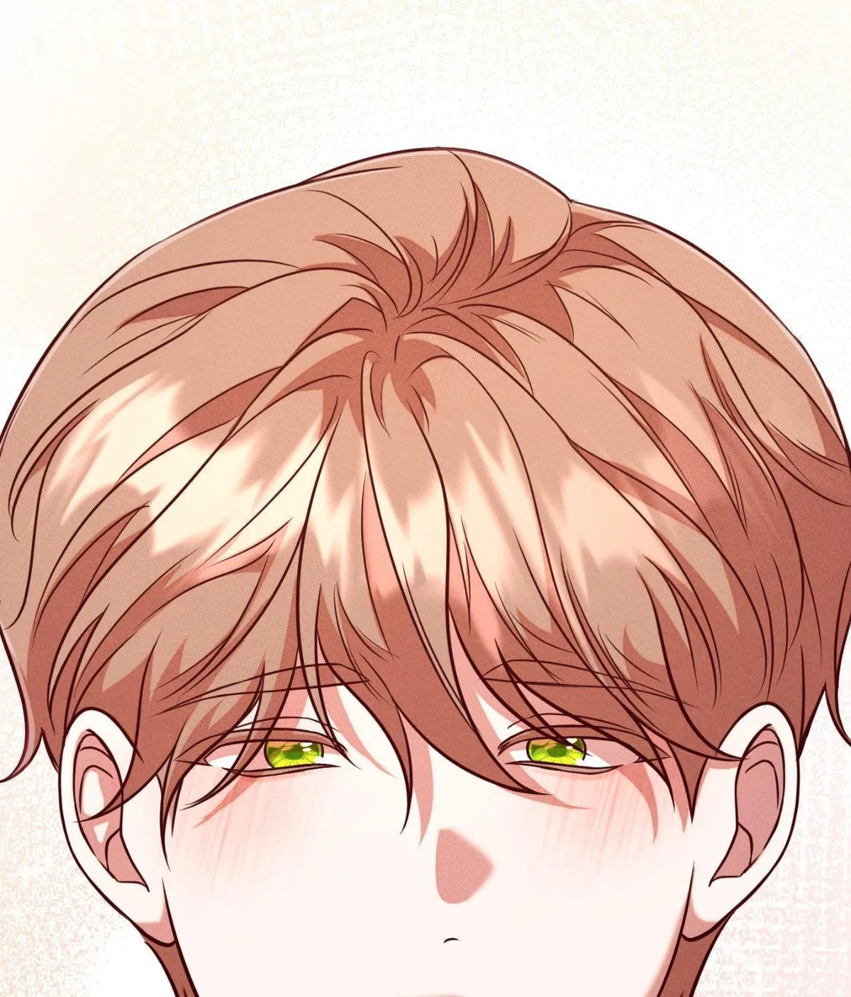 The aesthetics of the game Chapter 24 page 55 - 