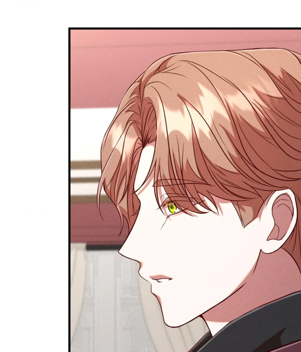 The aesthetics of the game Chapter 24 page 63 - 