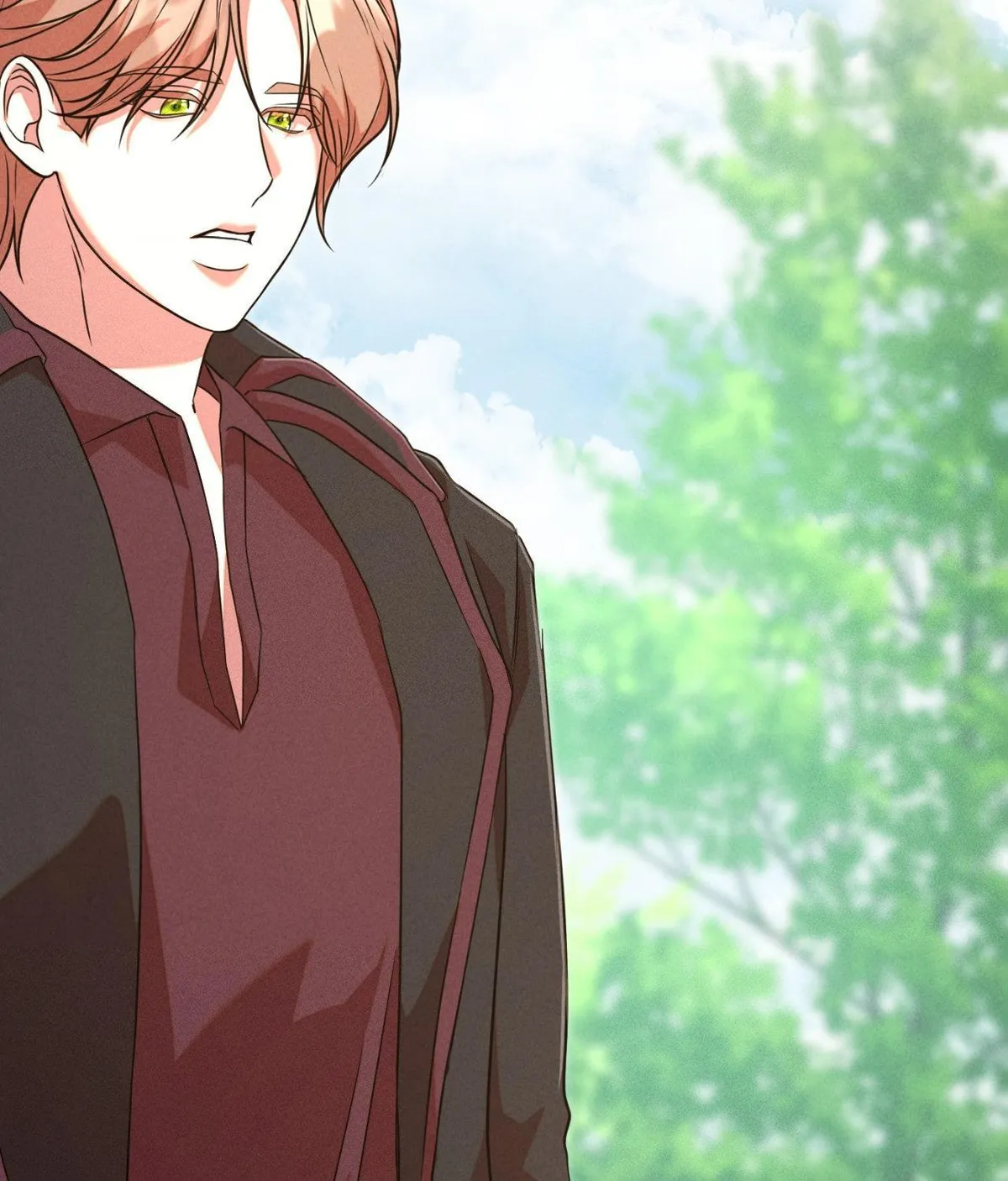 The aesthetics of the game Chapter 25 page 40 - 
