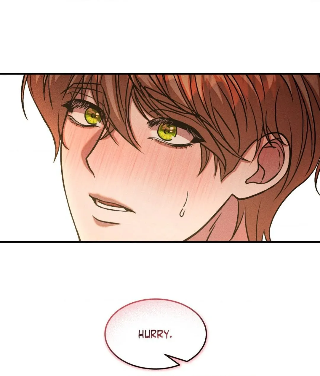 The aesthetics of the game Chapter 4 page 86 - 