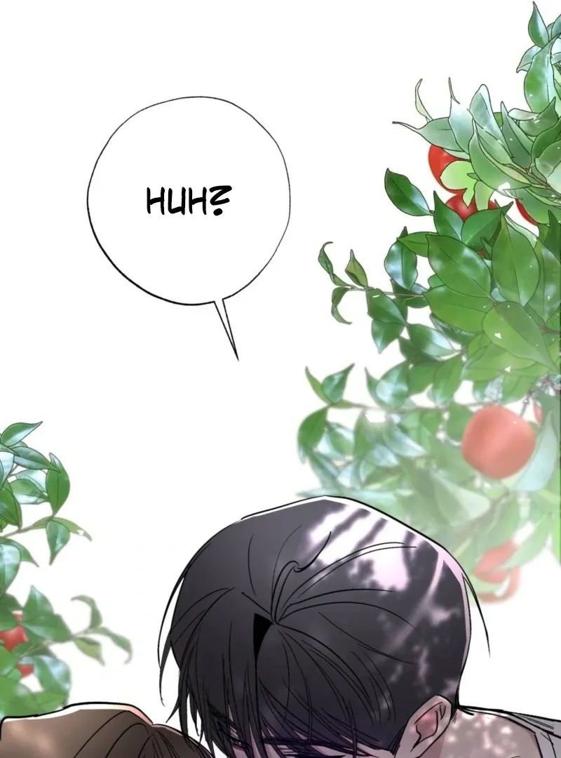 The Affairs of the Orchard Chapter 3 page 131 - 