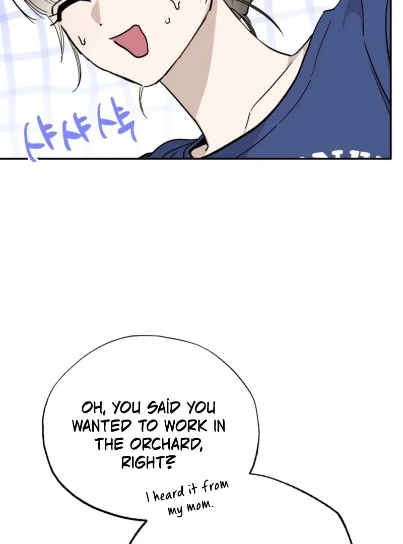 The Affairs of the Orchard Chapter 3 page 36 - 