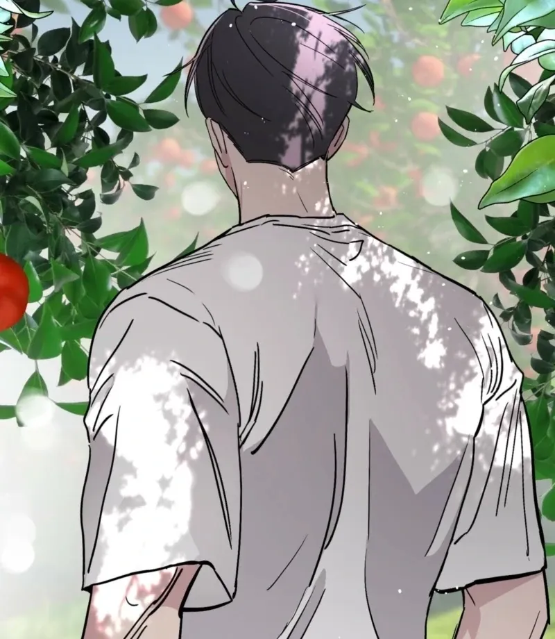 The Affairs of the Orchard Chapter 3 page 95 - 