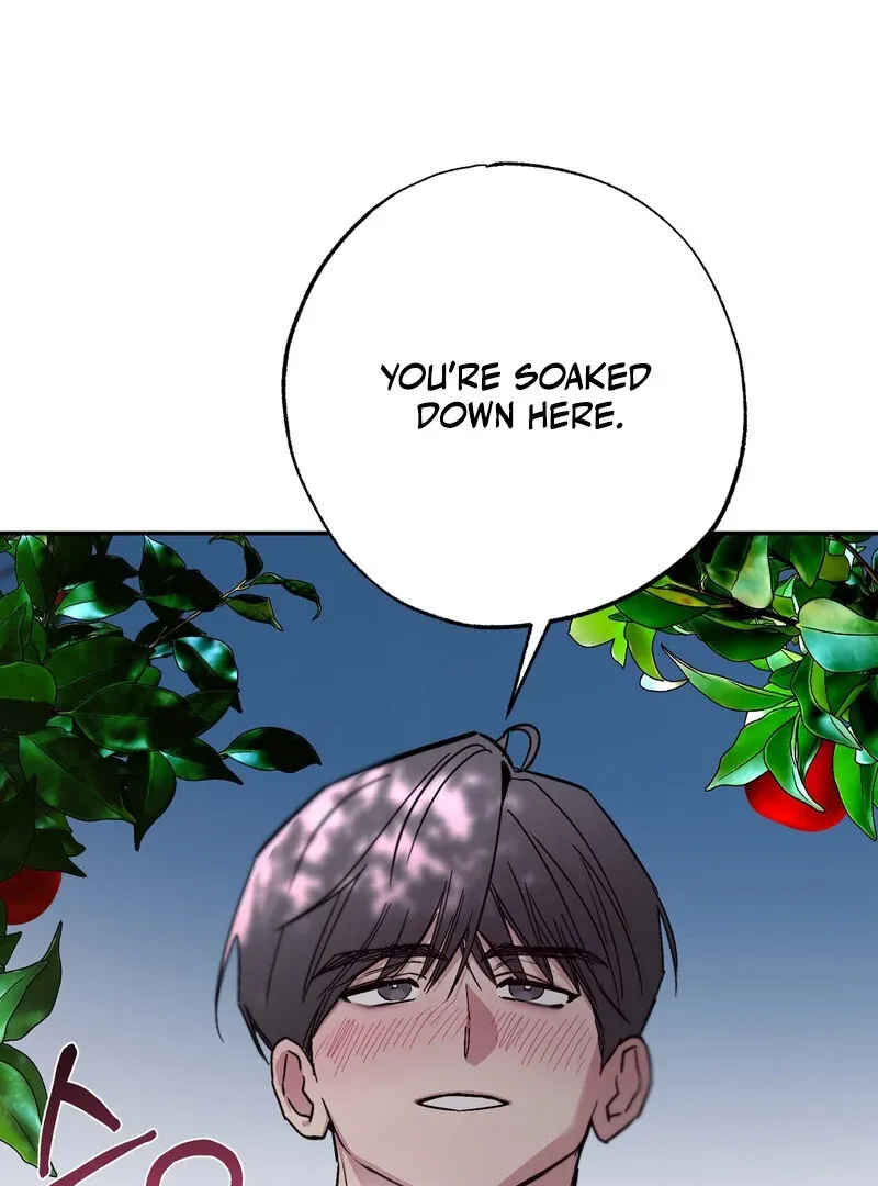 The Affairs of the Orchard Chapter 5 page 17 - 
