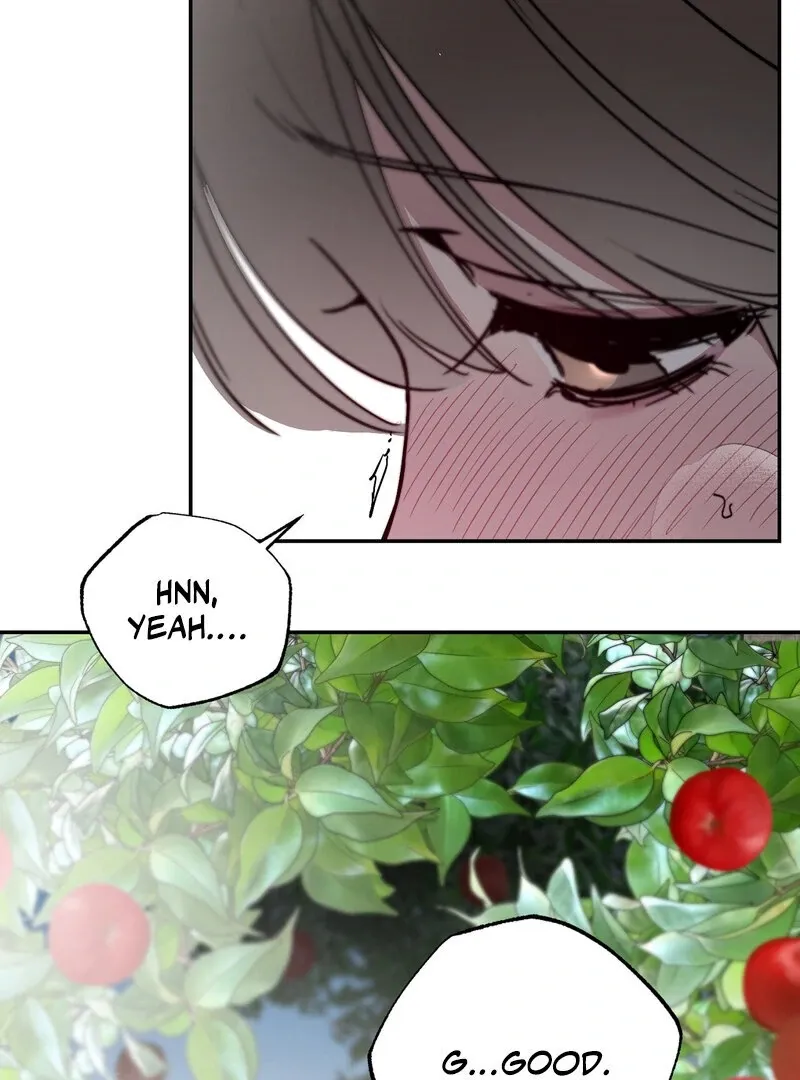 The Affairs of the Orchard Chapter 5 page 81 - 