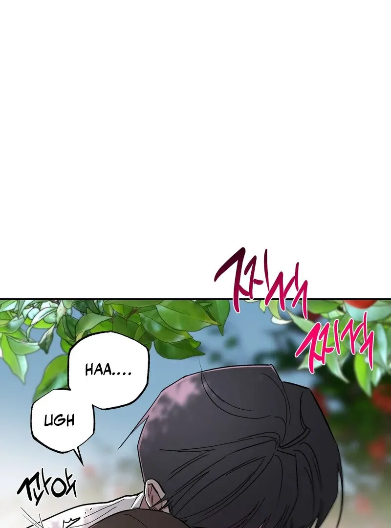 The Affairs of the Orchard Chapter 5 page 95 - 