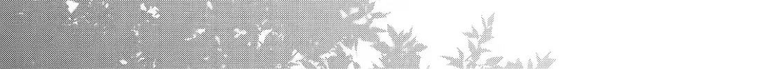 The Amazing Village Creator: Slow Living with the Village Building Cheat Skill Chapter 5.1 page 18 - 