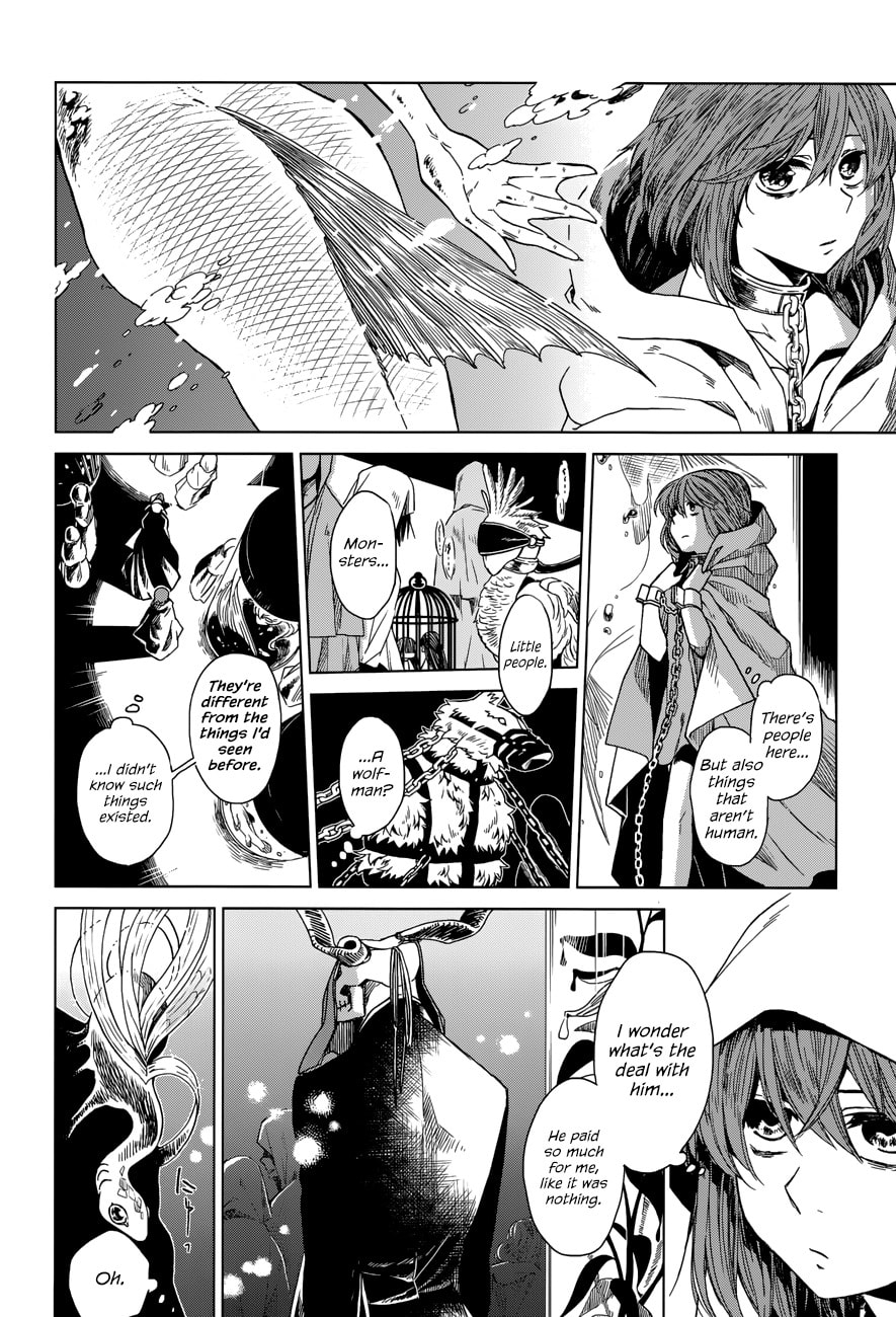The Ancient Magus