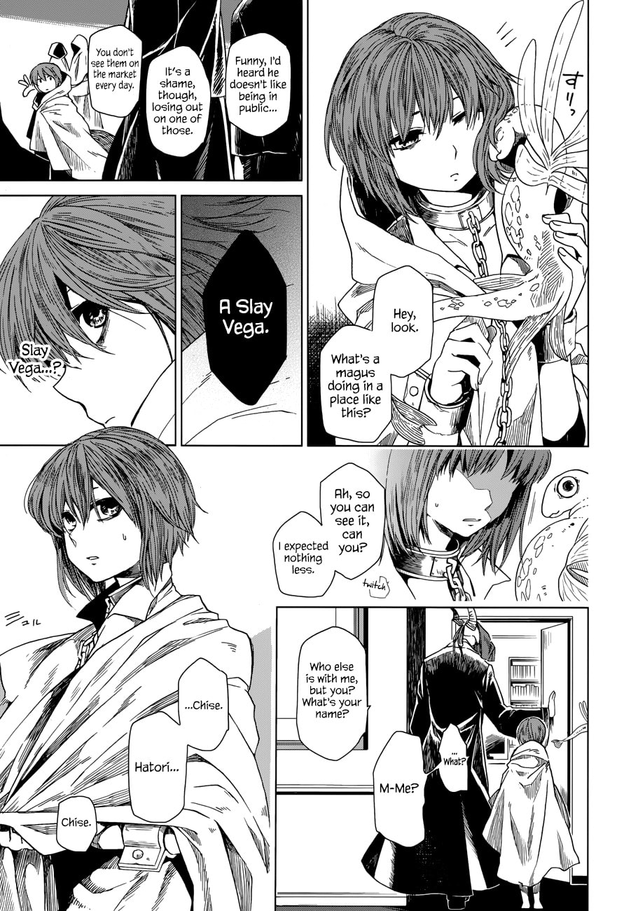The Ancient Magus