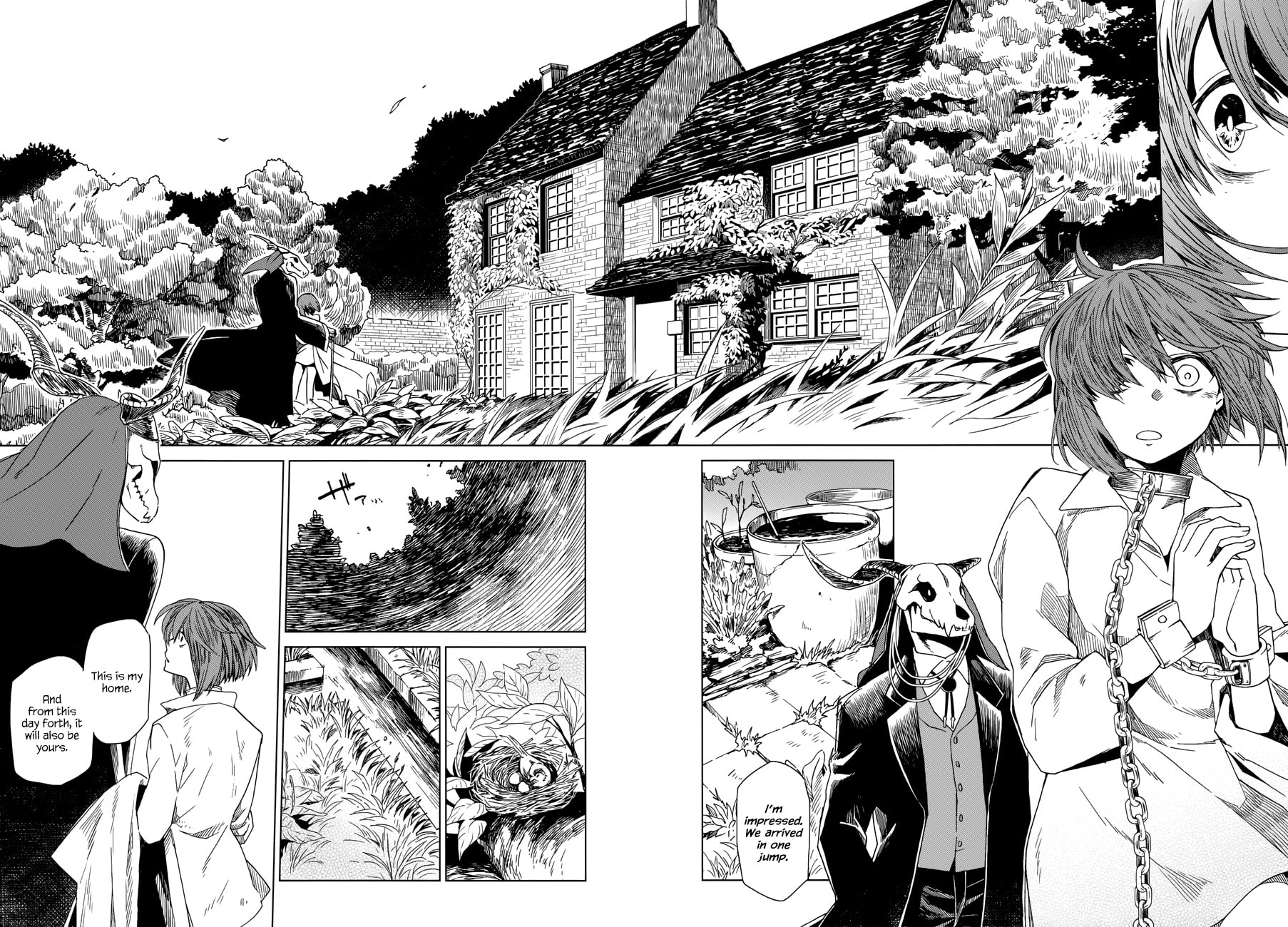 The Ancient Magus
