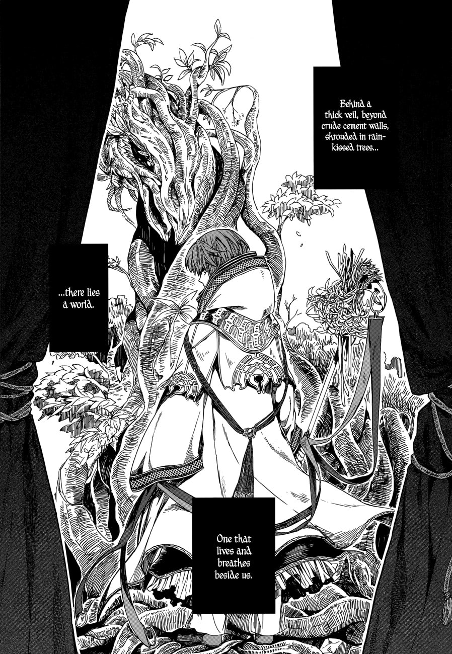 The Ancient Magus