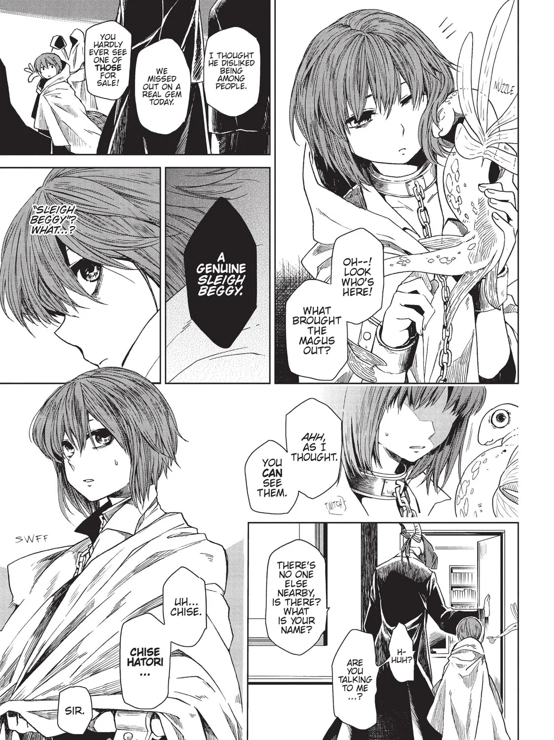 The Ancient Magus