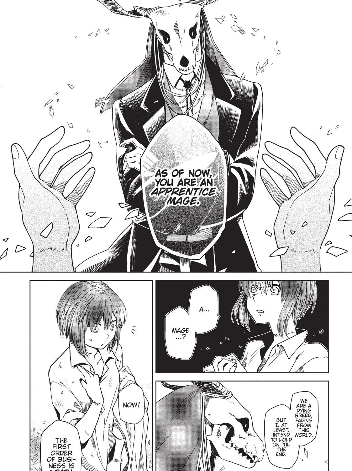 The Ancient Magus