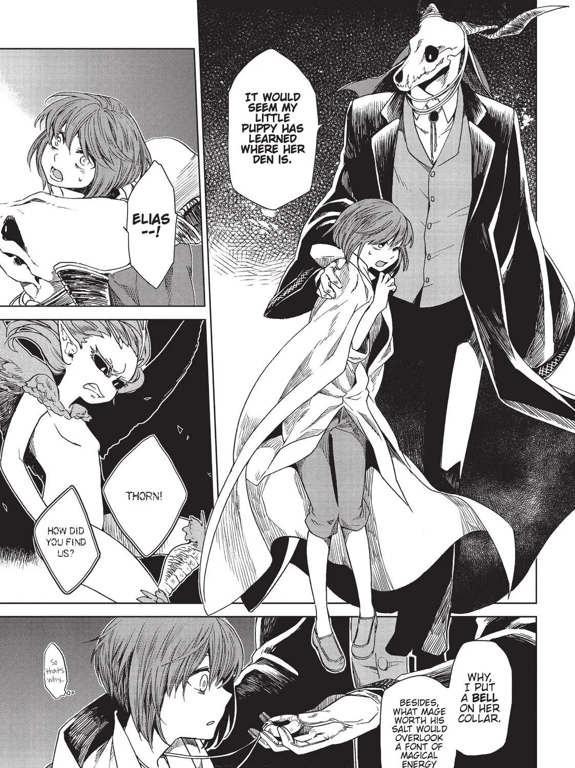 The Ancient Magus