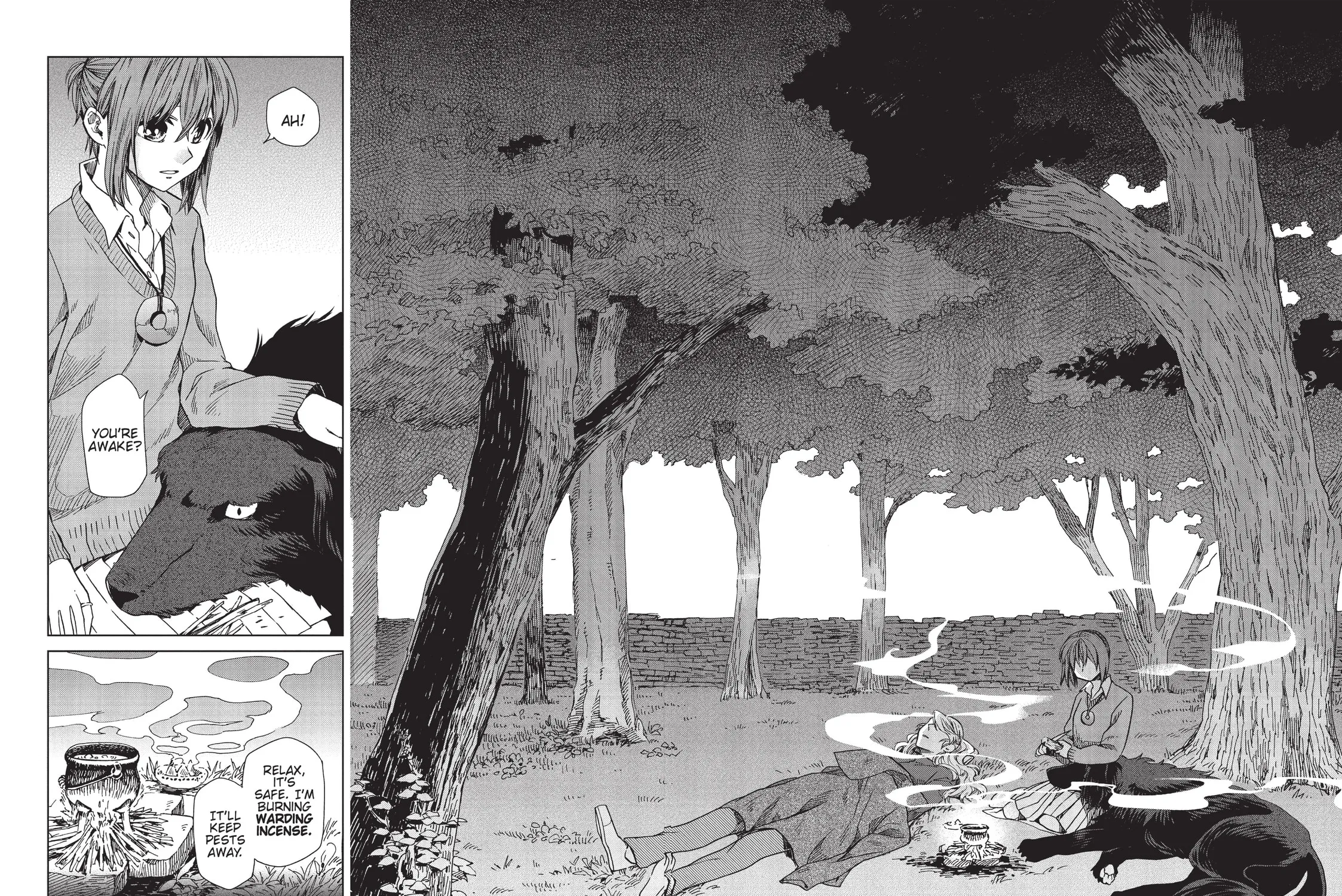 The Ancient Magus