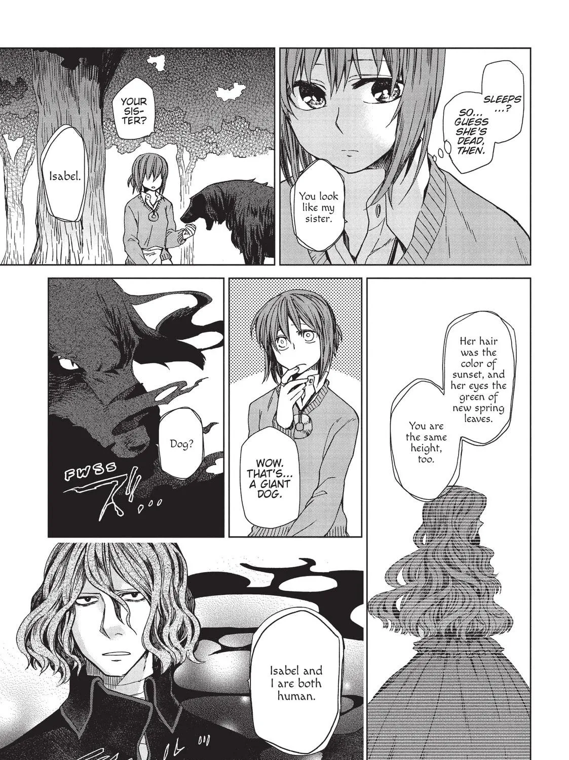 The Ancient Magus