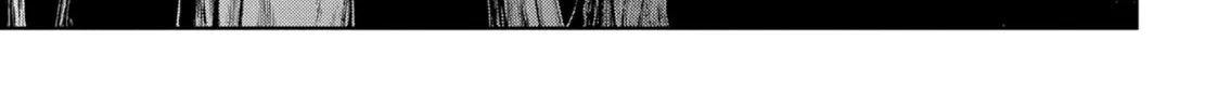 The Ancient Magus