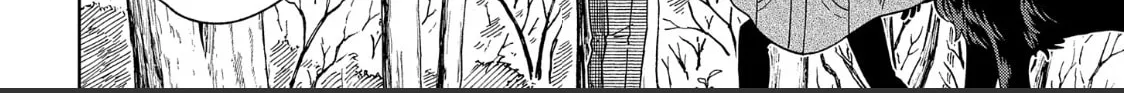 The Ancient Magus