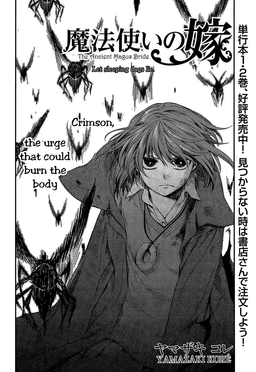 The Ancient Magus